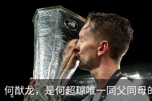 何猷龙，是何超琼唯一同父同母的亲弟弟