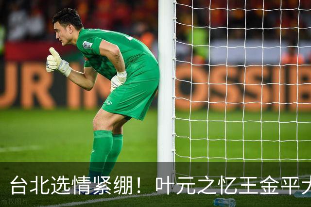 台北选情紧绷！叶元之忆王金平大罢免最后一周示警“只有你危险”