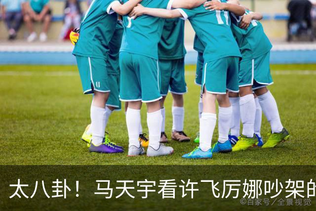 太八卦！马天宇看许飞厉娜吵架的反应