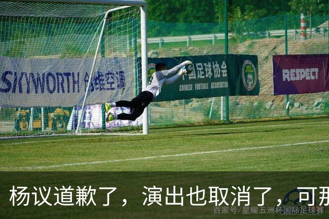 杨议道歉了，演出也取消了，可那句，“误会”，什么都没解决