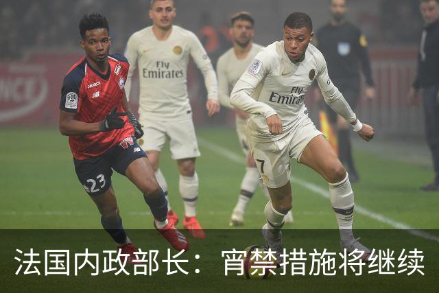 法国内政部长：宵禁措施将继续